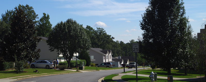 street scene